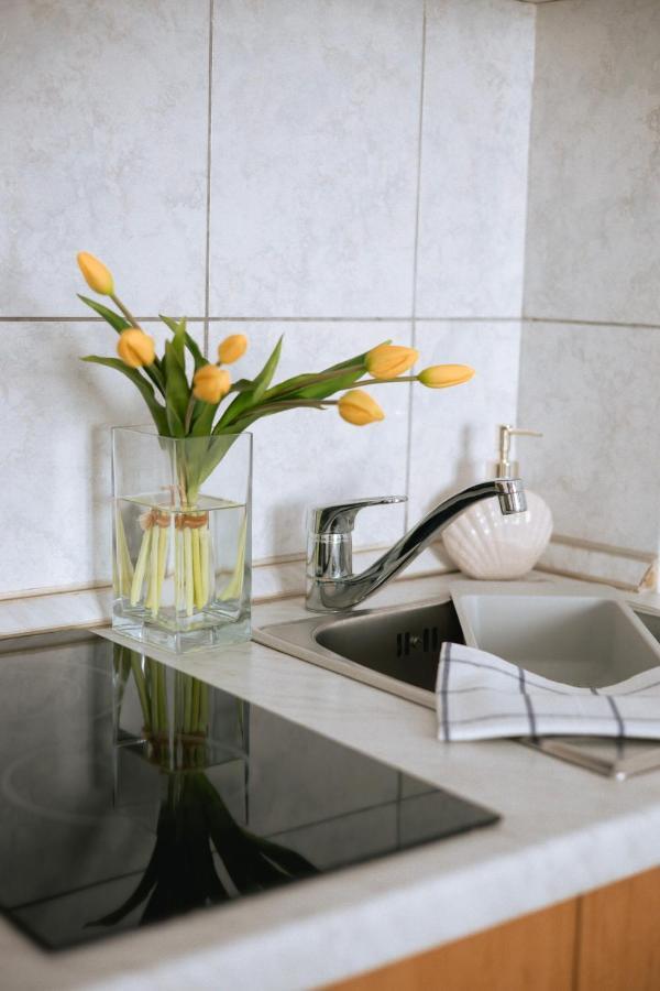شقة Garden House فوديس المظهر الخارجي الصورة
